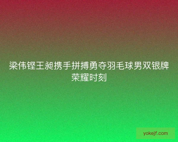 梁伟铿王昶携手拼搏勇夺羽毛球男双银牌荣耀时刻