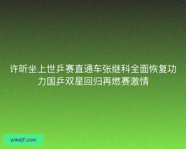 许昕坐上世乒赛直通车张继科全面恢复功力国乒双星回归再燃赛激情