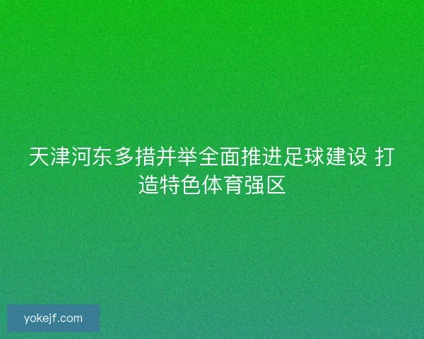 天津河东多措并举全面推进足球建设 打造特色体育强区